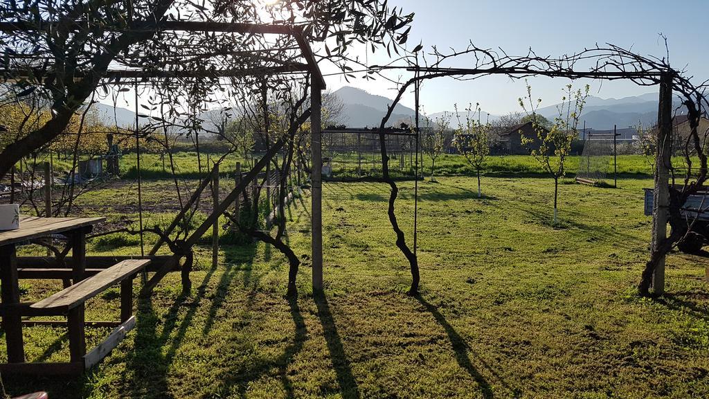 Casa de hóspedes Salvia E Rosmarino - In Liguria Villanova d'Albenga