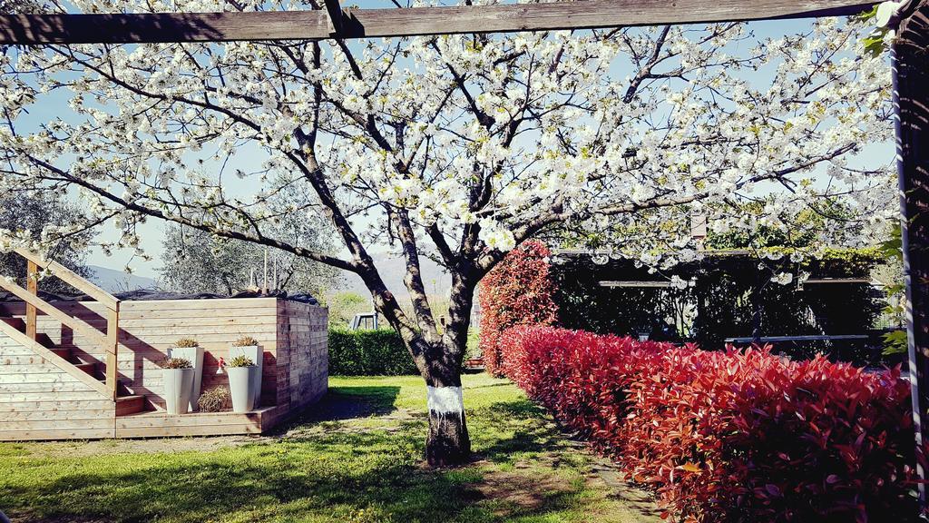 Salvia E Rosmarino - In Liguria Casa de hóspedes *