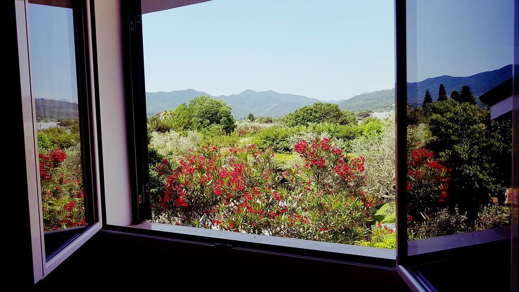 Salvia E Rosmarino - In Liguria Villanova d'Albenga
